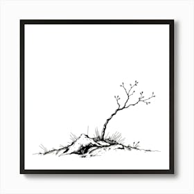 Lone Tree 12 Art Print