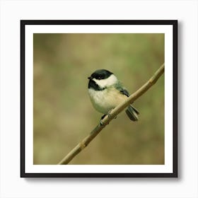 Cute Chickadee Art Print