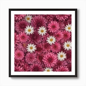 Pink Dahlias Art Print