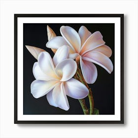 Two White Flowers Art Print