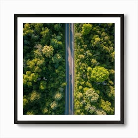 Aerial Photography Captures The Lush Expanse Of A Green Forest In The Height Of Spring Interplay Of (1) Art Print