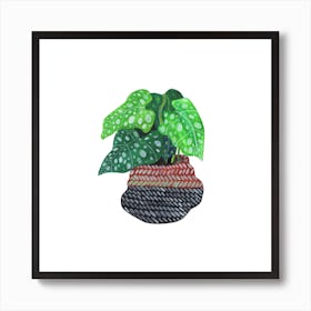 Lungwort Plant Square Art Print