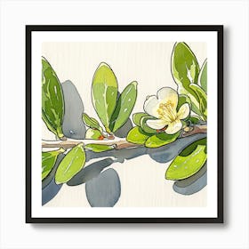 Jasmine Flower Art Print