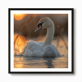 Sunset Swan Art Print