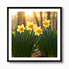 Daffodils Art Print