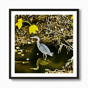 Grey Heron In Water Art Print