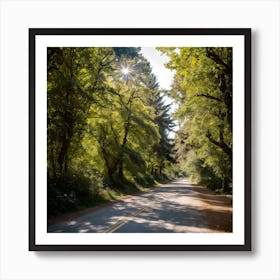 The beauty of the road in the forest Art Print
