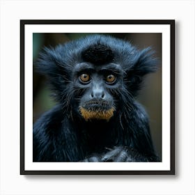 Black Monkey Art Print