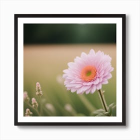 Gerbera Daisy 1 Art Print