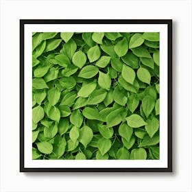 Green Leaves 5 Art Print