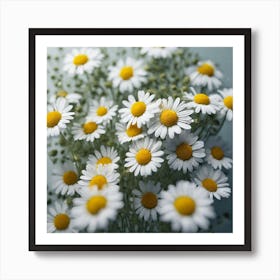 Daisies Art Print