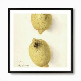 Fruit 21 Art Print