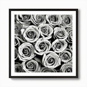 Black And White Roses 26 Art Print