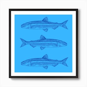 sardines Art Print