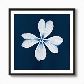 Flower On A Blue Background 1 Art Print