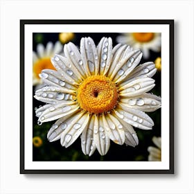 Daisy With Water Droplets 2 Art Print