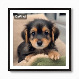 Davinci Puppy Art Print