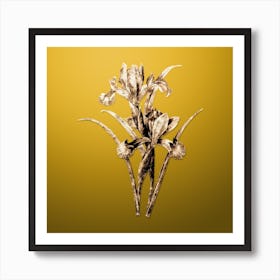 Gold Botanical Spanish Iris on Mango Yellow n.0474 Art Print