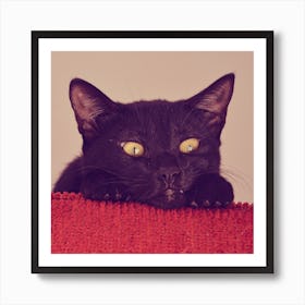 The Black Cat Square Art Print