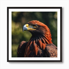 Golden Eagle Art Print