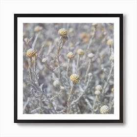 Beach Flowers Art Print