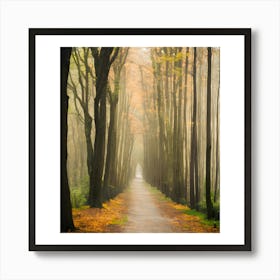 Foggy Forest Path Art Print