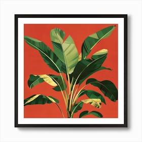 Banana Plant 3 Art Print