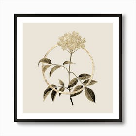 Gold Ring Elderflower Tree Glitter Botanical Illustration n.0124 Art Print