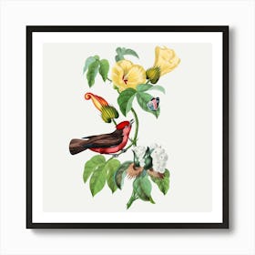 Bird On Hibiscus Art Print