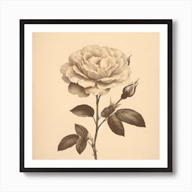 Rose Art Art Print