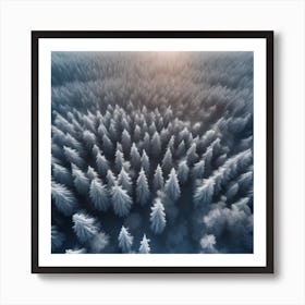 Aerial View Of Snowy Forest 5 Art Print