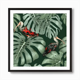 Ibis Monstera Square Art Print