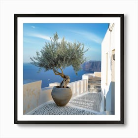 Olive Tree In The Morning (I) Art Print