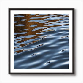 Reflections In Water Art Print