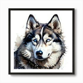 Siberian Husky 16 Art Print