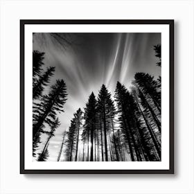 Twilight In The Forest 1 Art Print