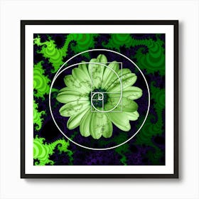 Sacred Geometry Fibonacci Spiral Flowers 1 Poster