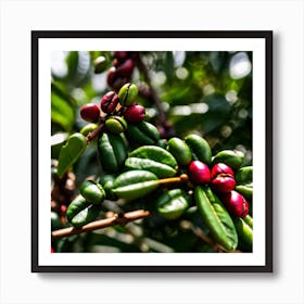 Coffee Beans On A Tree Art Print