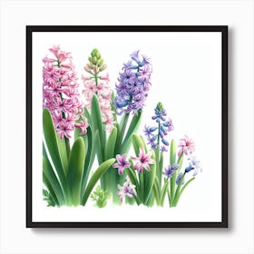 Hyacinths 5 Art Print