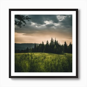 Sunset In The Forest Art Print