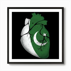 Pakistan Heart Flag Art Print