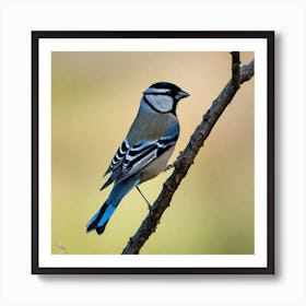 Blue Tit 58 Art Print