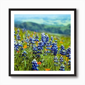 Lupine Mountain Background Square Art Print