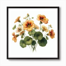 Flowers of Nasturtium 3 Art Print