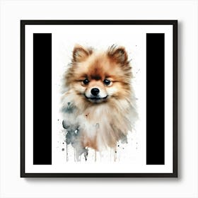 Pomeranian Watercolor Painting Art Print