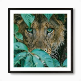 Eyes of the Jungle: A Lion's Gaze Through the Foliage Art Print