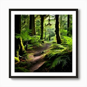 Ferns In The Forest 1 Art Print