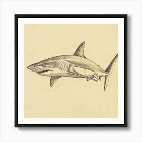 Mako Shark Vintage Illustration 5 Art Print