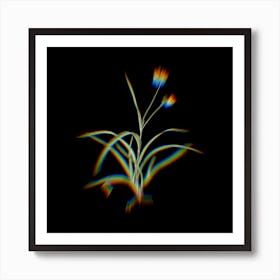 Prism Shift Spiderwort Botanical Illustration on Black n.0215 Art Print