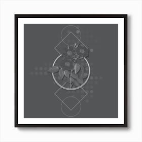 Vintage Rose of Castile Botanical with Line Motif and Dot Pattern in Ghost Gray n.0403 Art Print
